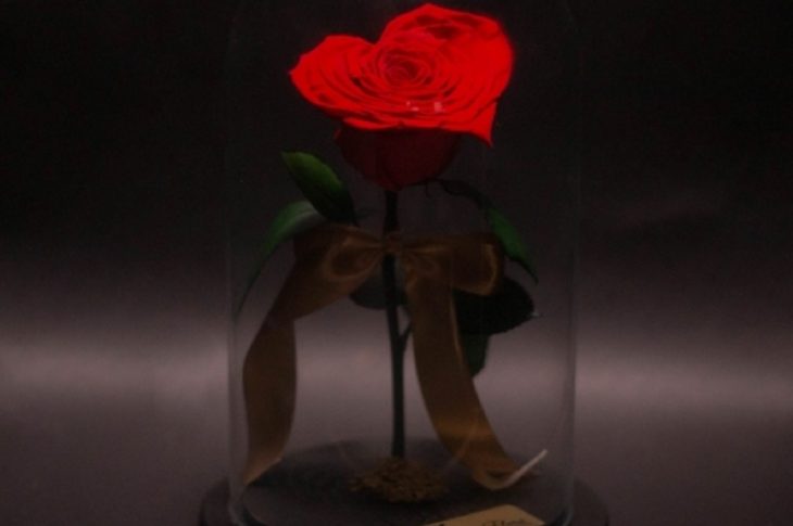 Livrare Flori Moldova