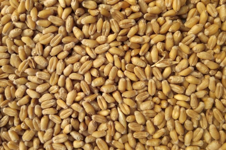 Cat de eficiente sunt silozurile pentru depozitarea cerealelor?